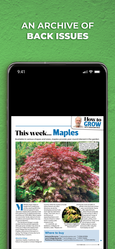 Smartphone screen showing a detailed article about maple trees in the Amateur Gardening Magazine app archive