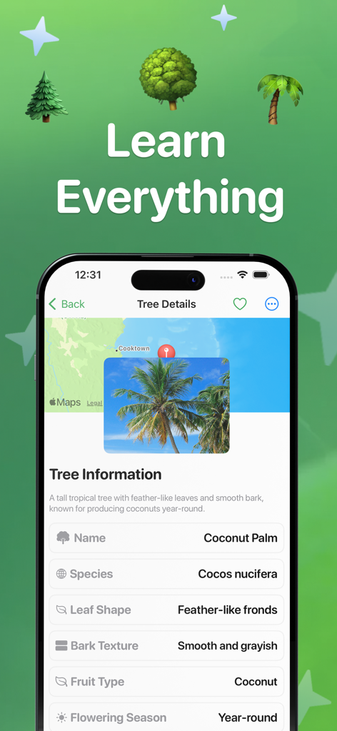 Pantalla de detalles de especie detallada para una Palma Datilera en la aplicación Identificador de Árboles, mostrando características botánicas y ubicación geográfica.