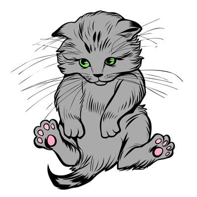 animals_20