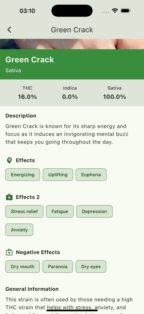 Weed Scan AI : THC Identifier - Green Crack strain profile in the Weed Scan AI app displaying THC content and sativa percentage
