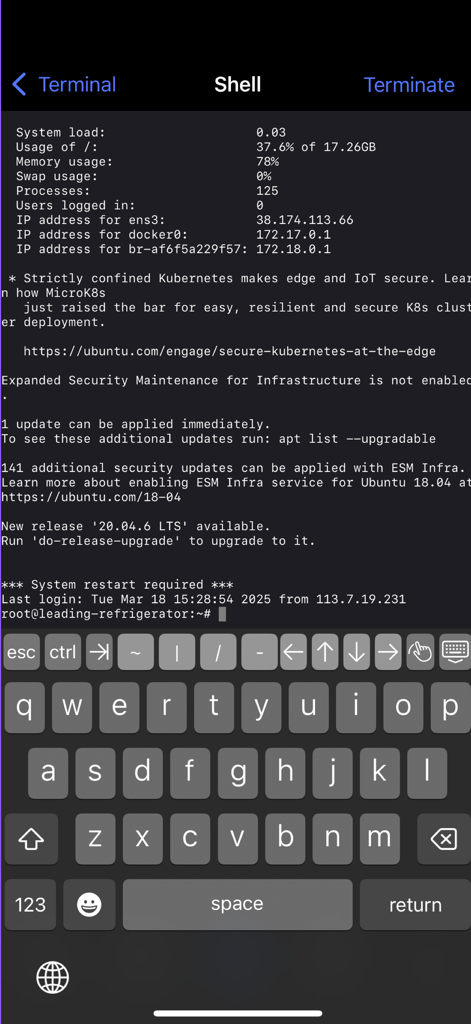 Eine mobile SSH-Terminal-Shell-Oberfläche, die Server-Systemlastmetriken und eine Kommandozeilenaufforderung auf einem iPhone anzeigt.