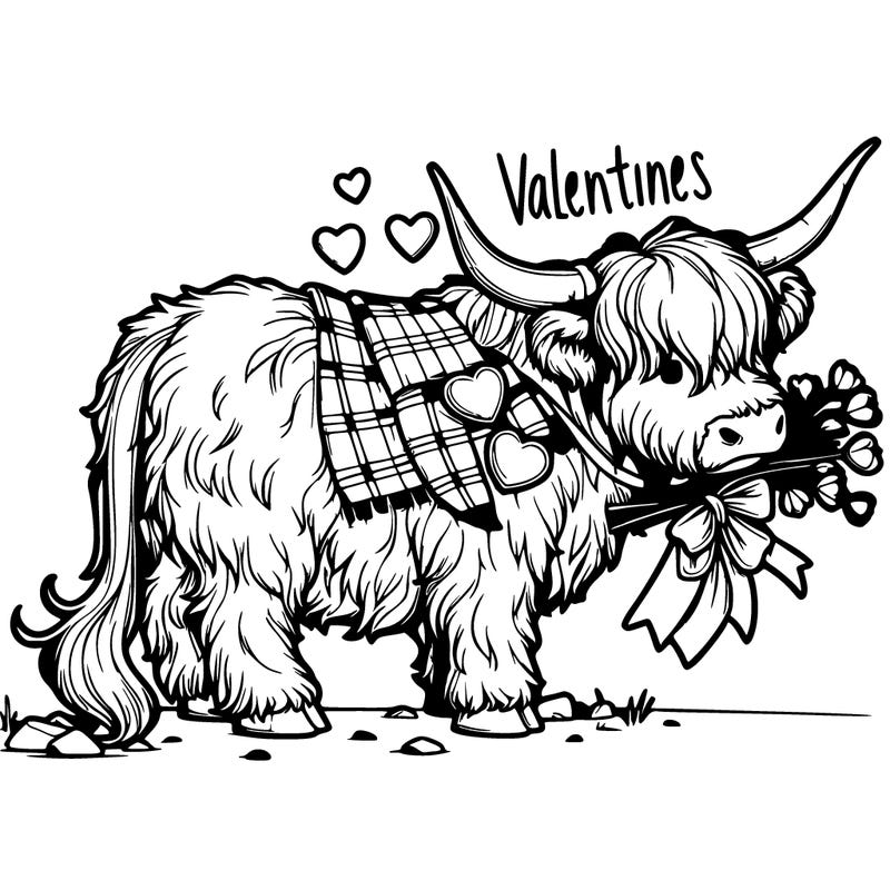 valentines highland cow realistic