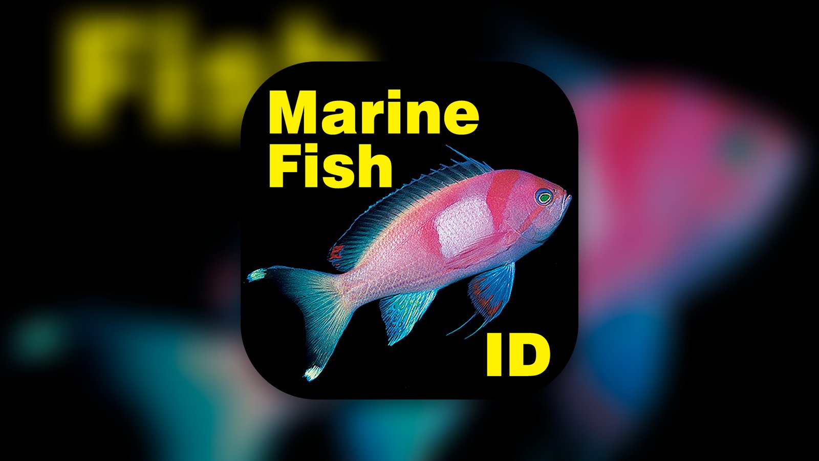 Marine Fish Great Barrier Reef - Reference App | MWM
