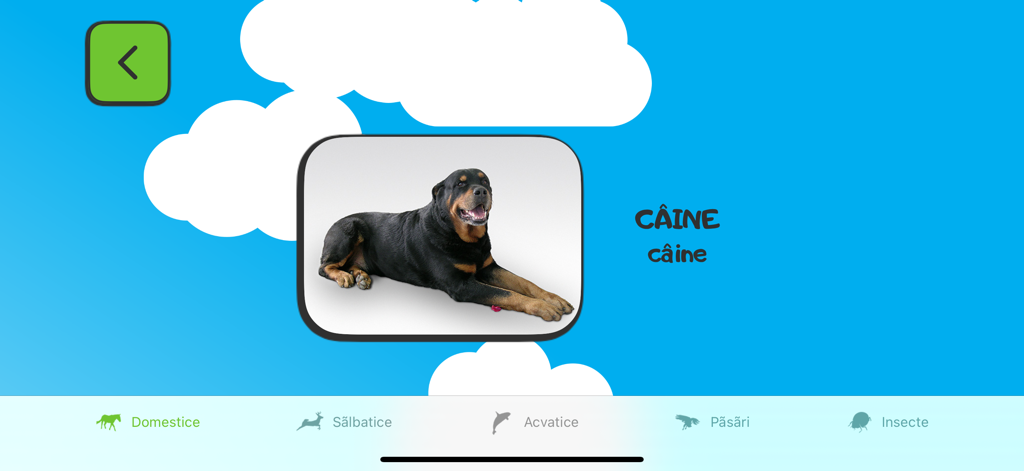 ABC for kids (RO) - Screenshot of ABC for kids Romanian app showing a dog with the word caine and categories for different types of animals