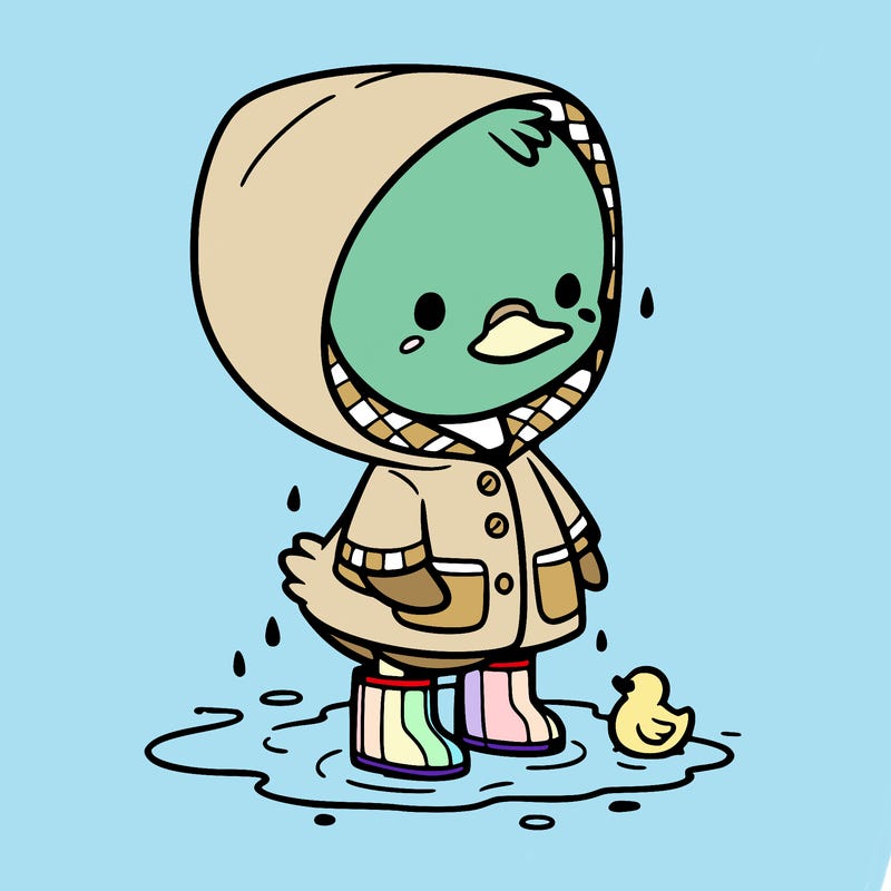 baby duck in a rain coat and boots, in a puddle while it’s raining