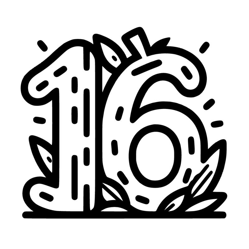 16