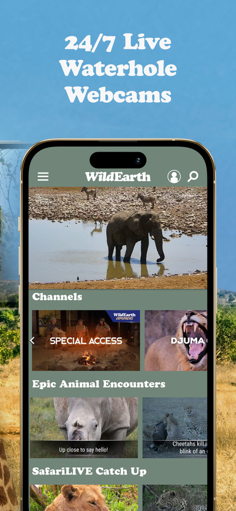 WildEarth TV app screen showing a live elephant at a waterhole and various safari video channels