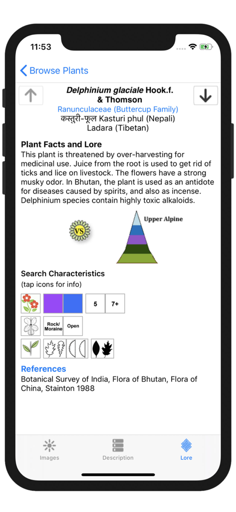 Wildflowers of Mount Everest - Detailed plant lore and botanical information for Delphinium glaciale in the Wildflowers of Mount Everest app.