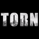 Torn City
