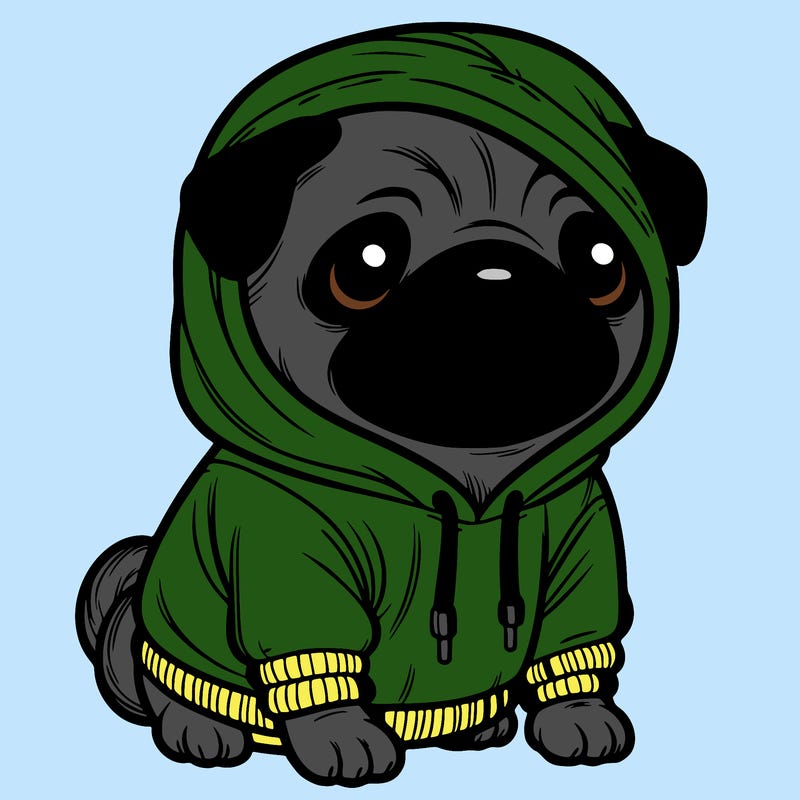 pug in hoodie