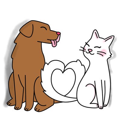animals_22