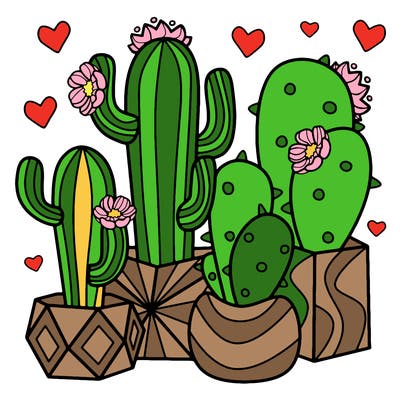 flowers_24_new