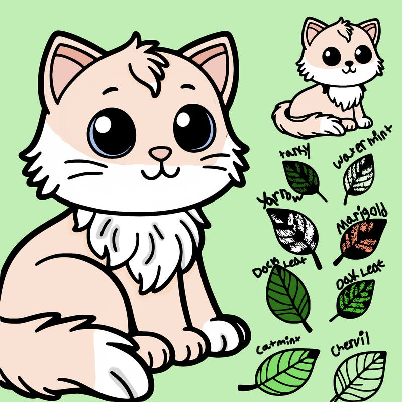 cat
