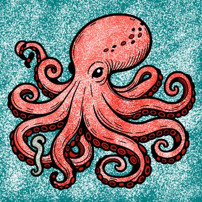 octopus