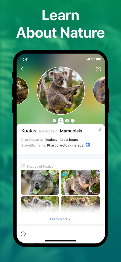 Picture Nature: Animal ID - Screenshot of Picture Nature app displaying scientific facts and images of koalas