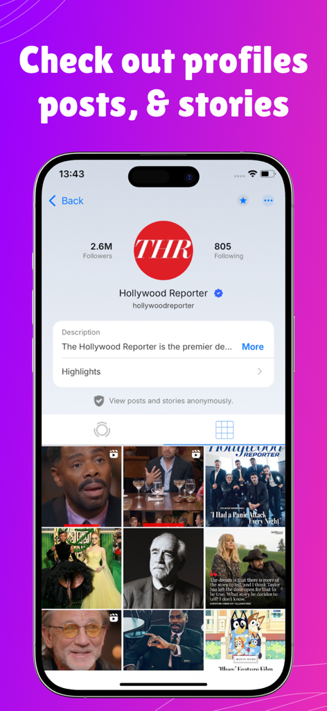Amazing Profile Viewer - Interfaz de la aplicación Visor de Perfiles Increíble mostrando un perfil de red social con opciones de visualización anónima para publicaciones e historias.