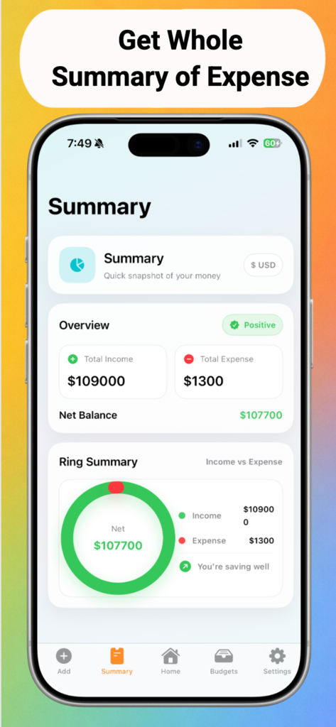 Budget Planner Buddy :Bilancio - Tela de resumo de orçamento no aplicativo Bilancio, mostrando renda e saldo líquido.
