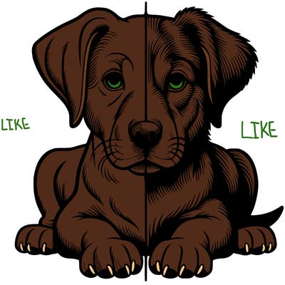 realistic dog split picture