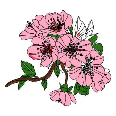 flowers_03