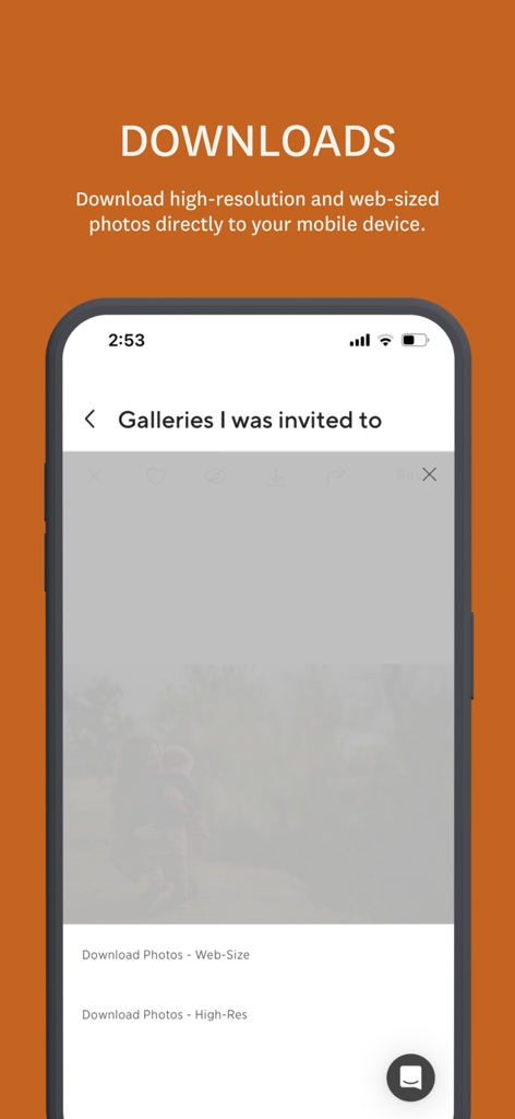 Interface showing options to download web-sized and high-resolution photos in the Pass Gallery app.