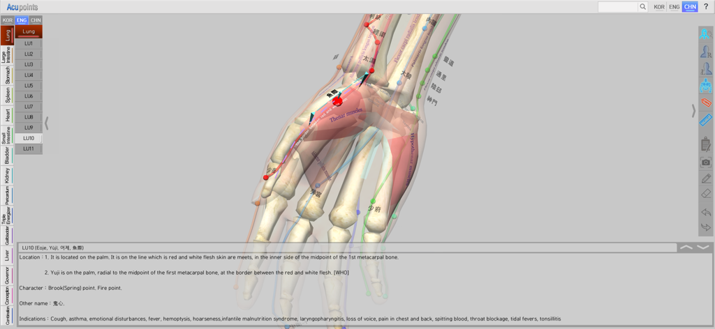 Acupoints app interface displaying a 3D anatomical map of the hand with acupuncture point LU10 highlighted