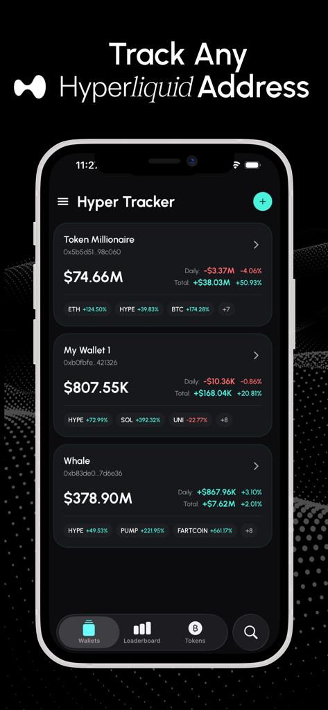 Dashboard of Hyperliquid Tracker app showing multiple monitored crypto wallets with balance and profit information