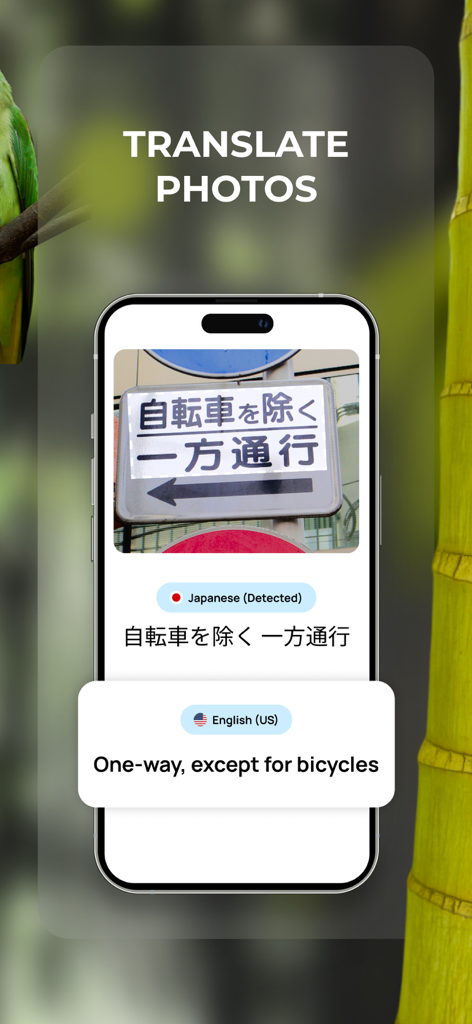 Lens: Translate & Image Search - Mobile app interface showing the translation of a Japanese road sign into English text