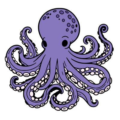 octopus