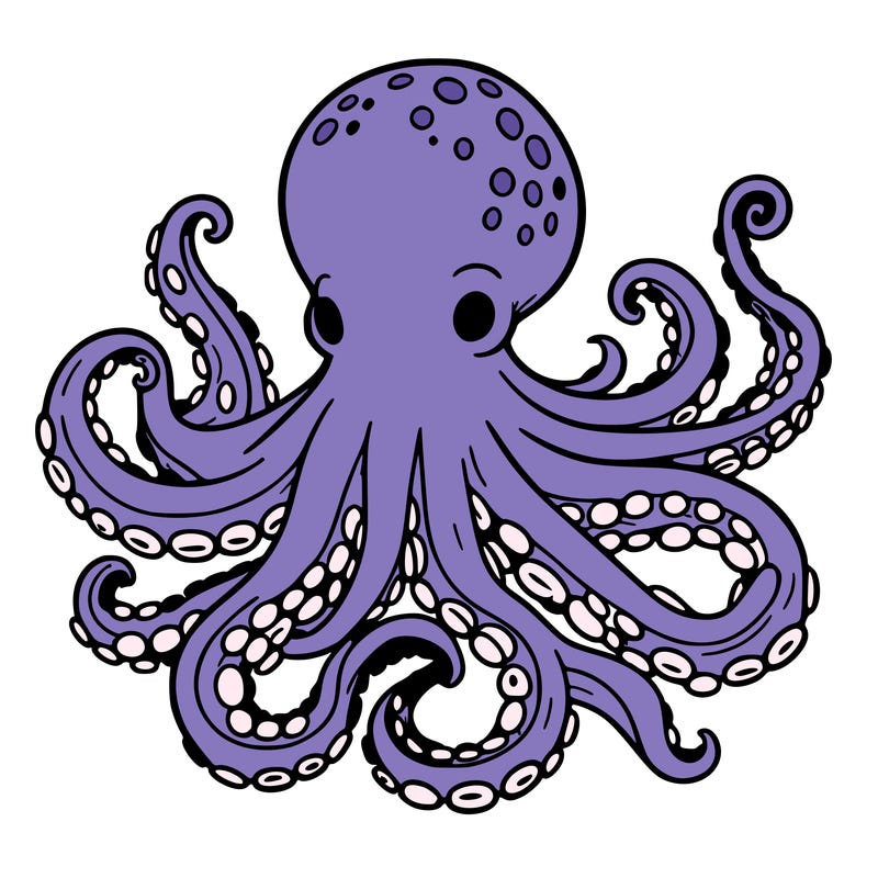 octopus