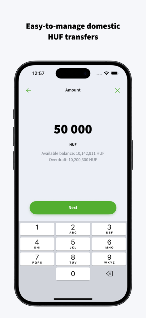 OTP Business app interface for entering a domestic HUF transfer amount.