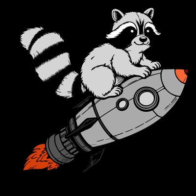 realistic raccoon flying on top rocket ship