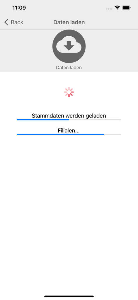 Tela de carregamento de dados do aplicativo AUDIT System mostrando barras de progresso para dados mestres e informações de filial.