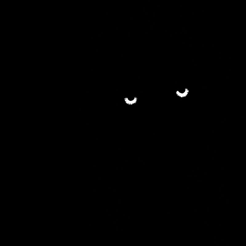 realistic girl with braids