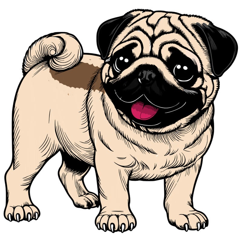 realistic pug