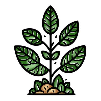 plant