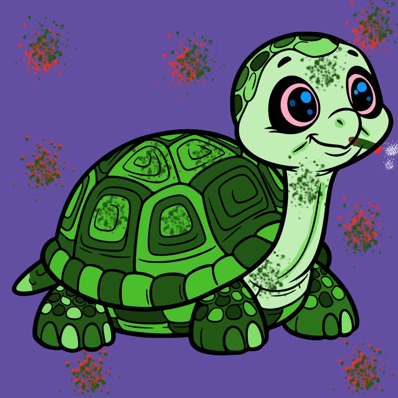 tortoise