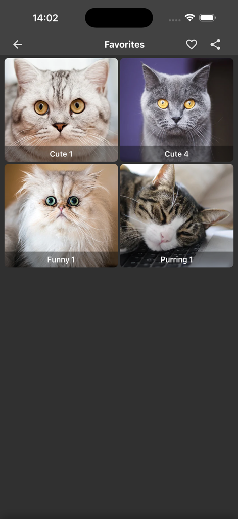 Cat Sounds - Meow Soundboard - A collection of favorite cat sounds categorized with cute and funny cat photos