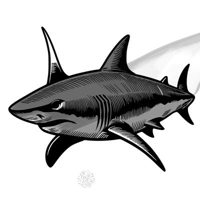 realistic shark