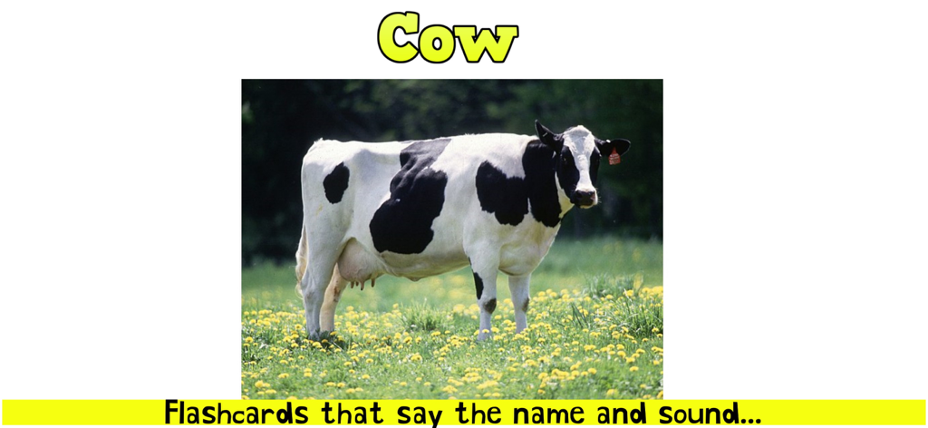 Educational flashcard showing a real black and white cow in a field for toddler learning