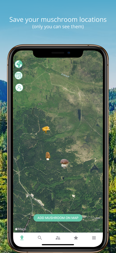 Interface de l'application Identificateur de Champignons montrant une carte satellite privée avec des épingles de lieux de cueillette de champignons