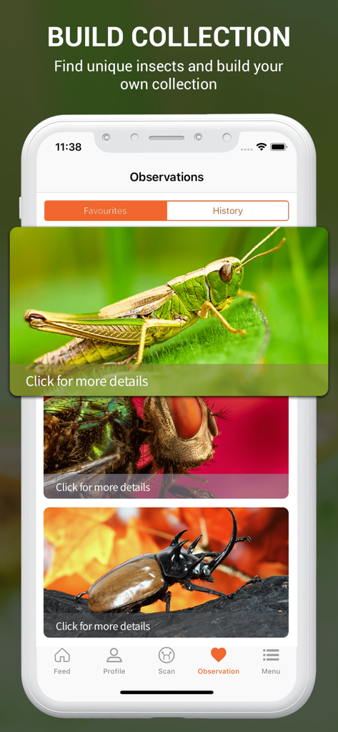 Pantalla de aplicación móvil que muestra una colección de insectos identificados, incluido un saltamontes, una mosca y un escarabajo bajo el historial de observaciones