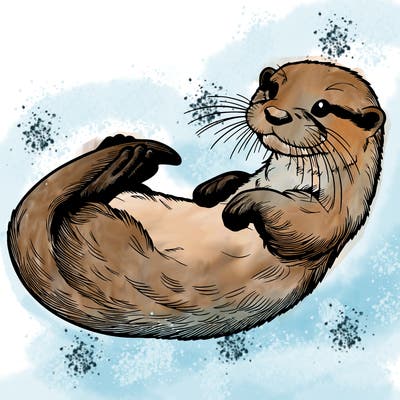 realistic otter on its back