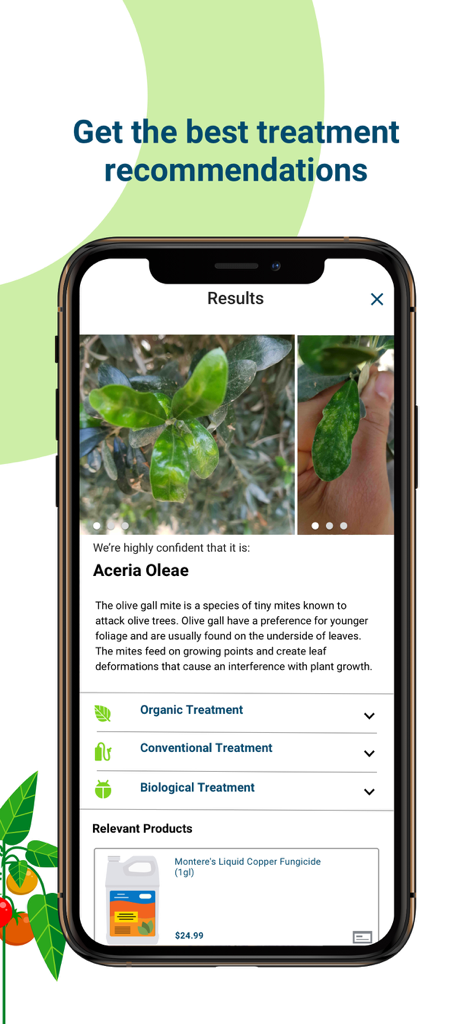Agrio - Plant diagnosis app - Smartphone screen showing Agrio app diagnosis results for olive gall mites with treatment options and product recommendations