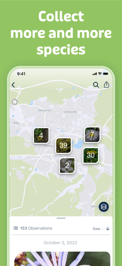 Un'interfaccia di mappa all'interno dell'app Flora Incognita che mostra gruppi di osservazioni di piante con numeri di conteggio.