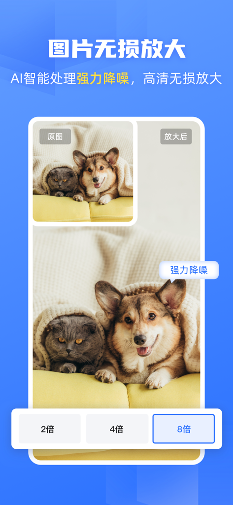 Ein Vergleich, der ein Originalfoto einer Katze und eines Hundes zeigt, und eine vergrößerte Version, die mit KI-Rauschunterdrückung und 8-facher Hochskalierung verarbeitet wurde.