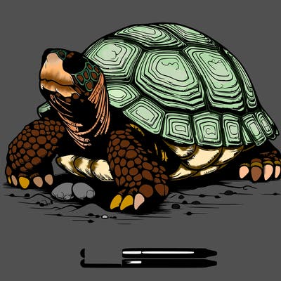 realistic turtle