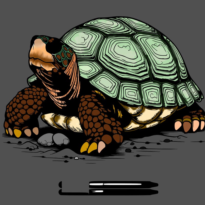 realistic turtle