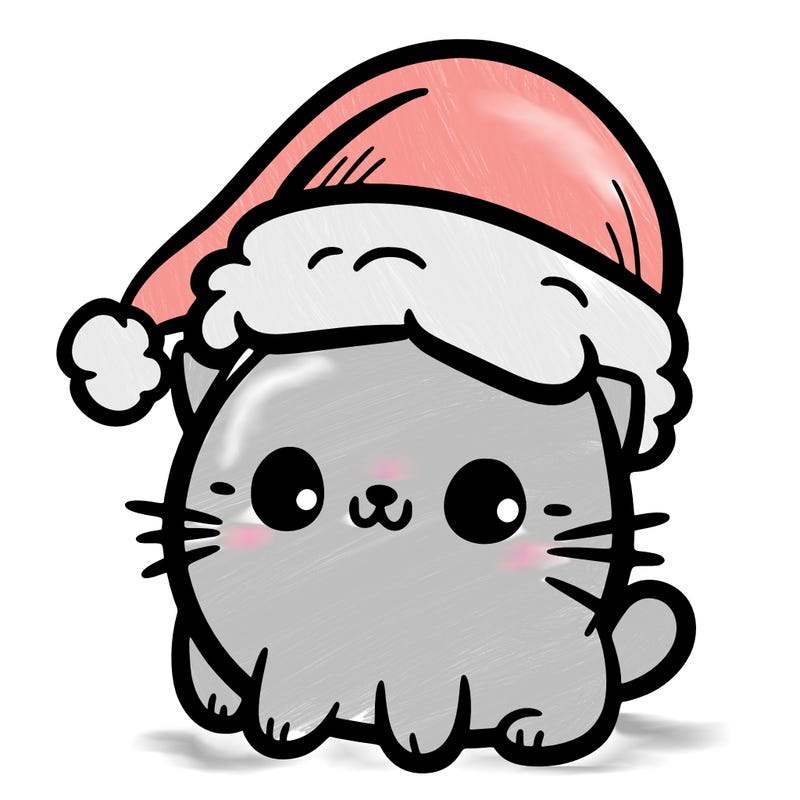 a cat with a christmas hat