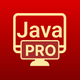 Learn Java Programming Pro