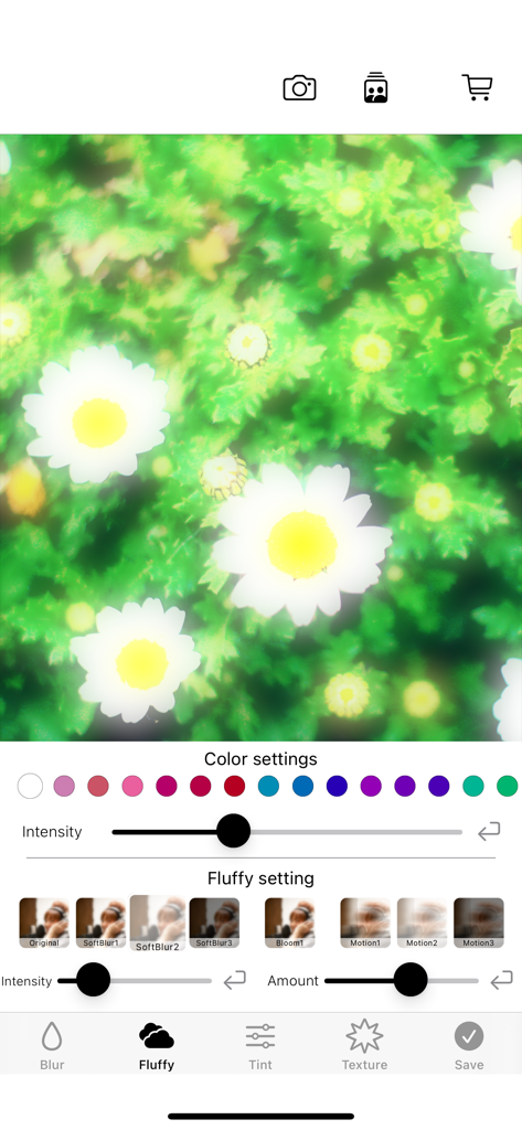Interface of a photo editing app showing fluffy and soft blur settings with color options applied to a daisy photo